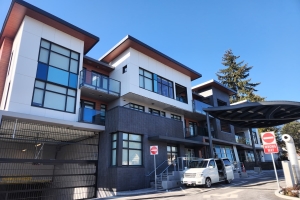 zodiac-glazing-larch-min