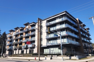 zodiac-glazing-the-alex-min